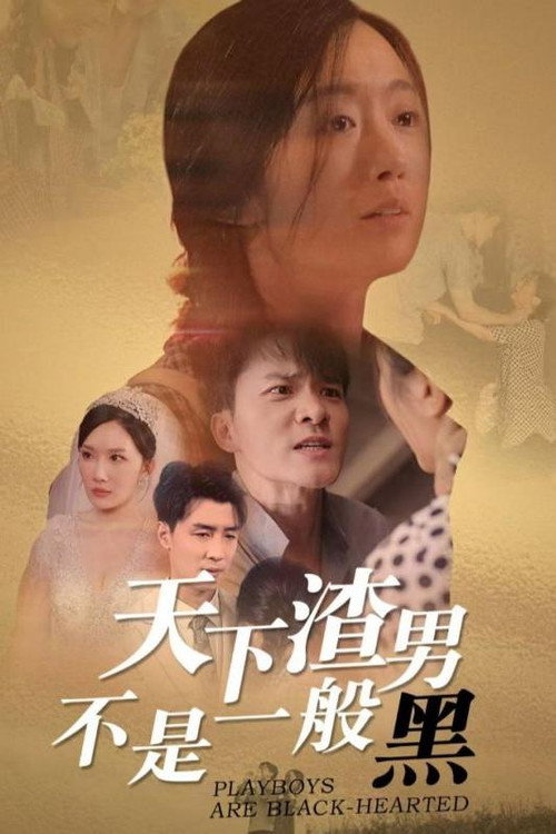 天下渣男不是一般黑电影海报