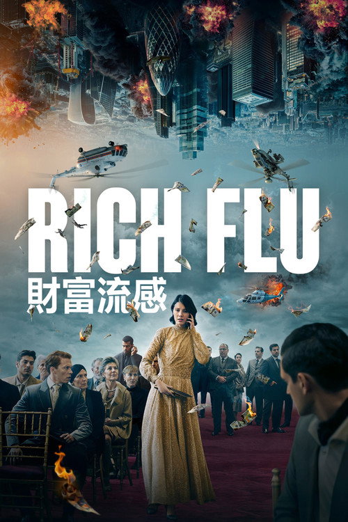 财富流感电影海报