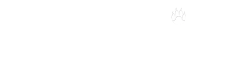 movies