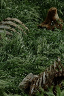 Reserve 2020 Reserve 2020