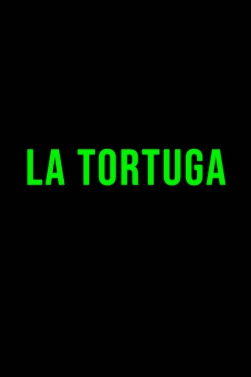 The Turtle Poster