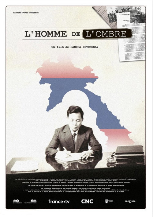 L'homme de l'ombre电影海报