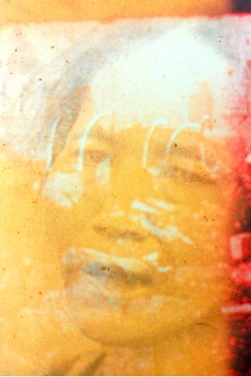Viet Flakes poster 3