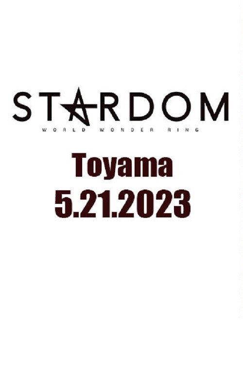 Stardom in Toyama Poster