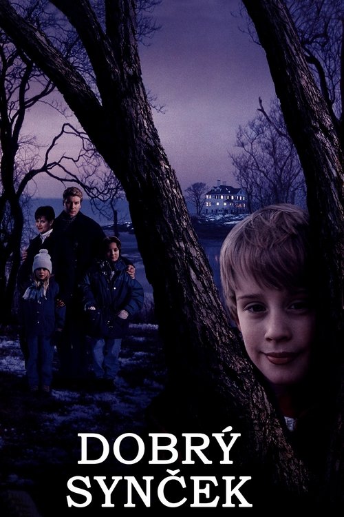 Dobrý synček
