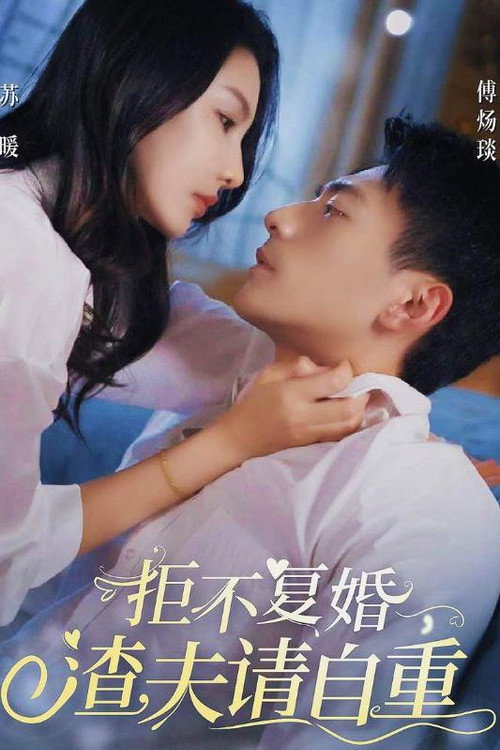 拒不复婚，渣夫请自重电影海报