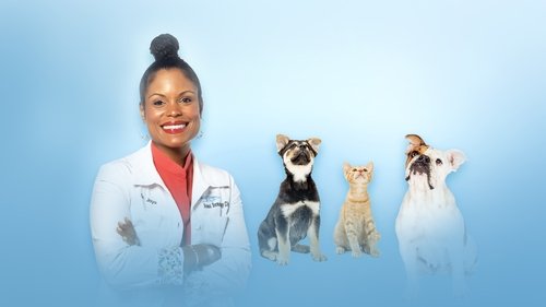 Dra. Joya: Dermatologista Animal