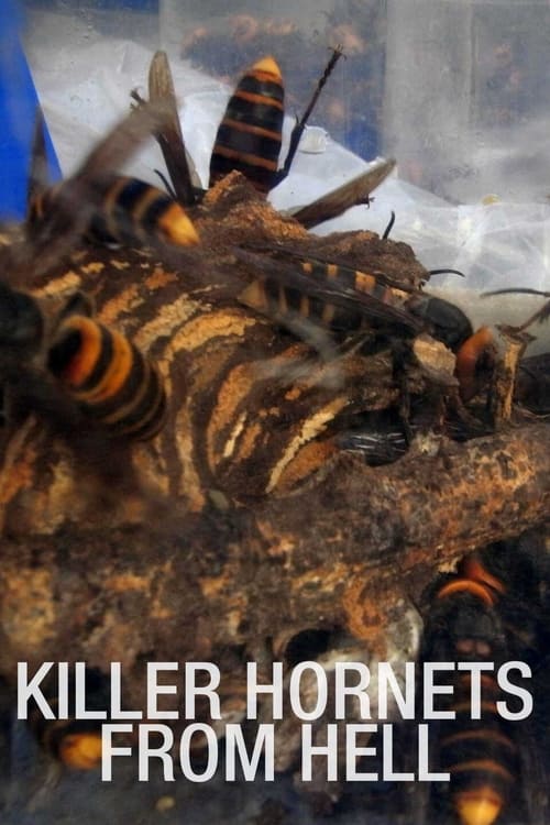 Killer+Hornets+from+Hell