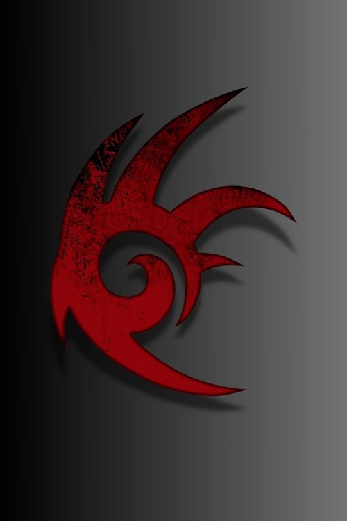 Shadow the Hedgehog Poster