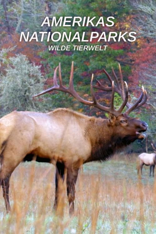Living Wild: Animals of America’s National Parks poster 1