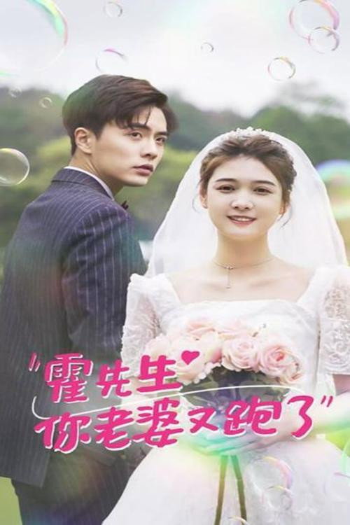 霍先生你老婆又跑了电影海报