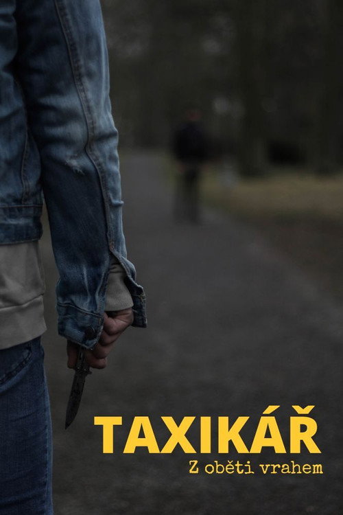 Taxikář poster 2