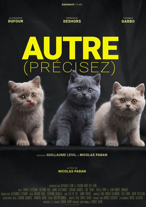 Autre (précisez)
