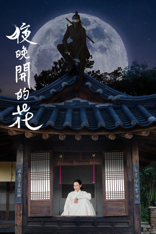 夜晚开的花电影海报