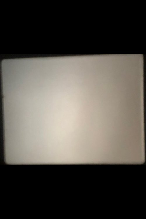 Sound in Synch, Parts I and II