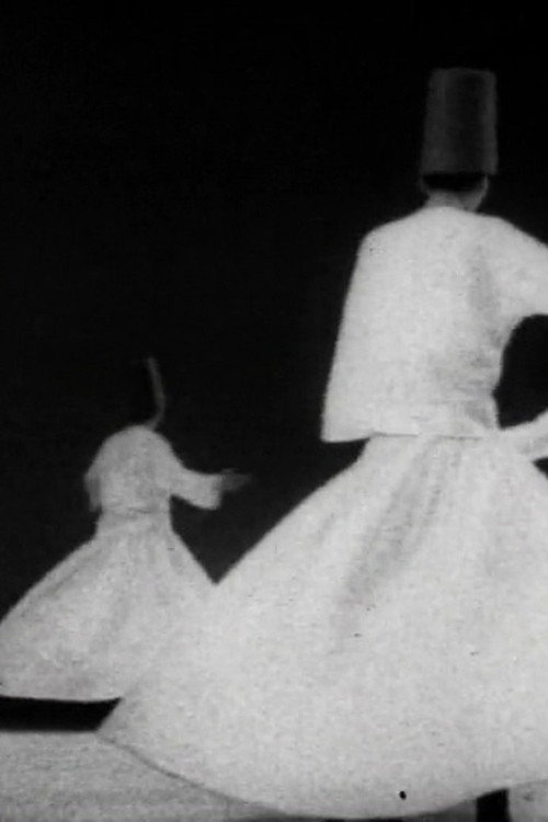 Mevlevi - Les Derviches tourneurs电影海报