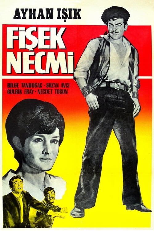 Fişek Necmi 