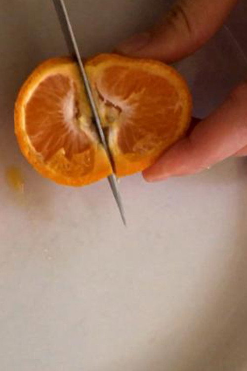 Rotten Fruit