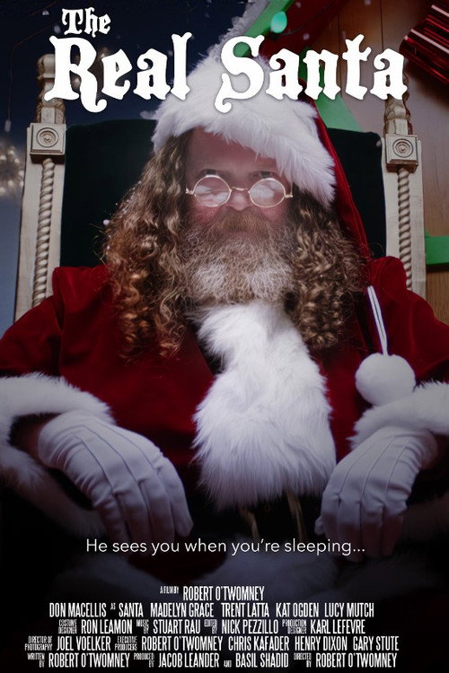 The Real Santa poster 2