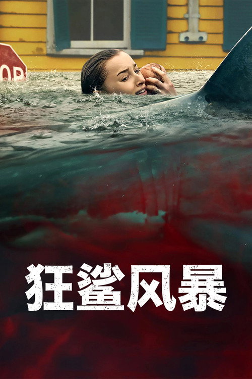 狂鲨风暴电影海报