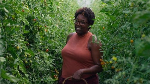 Chef's Table - 1. Bölüm