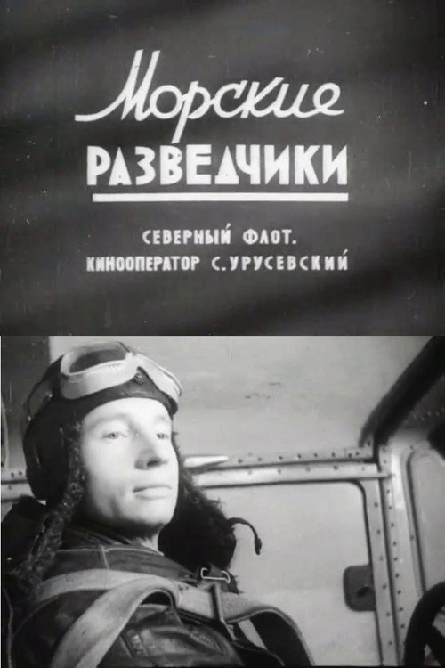 Морские разведчики电影海报