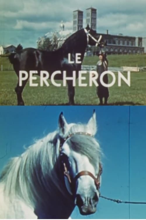 The+Percheron