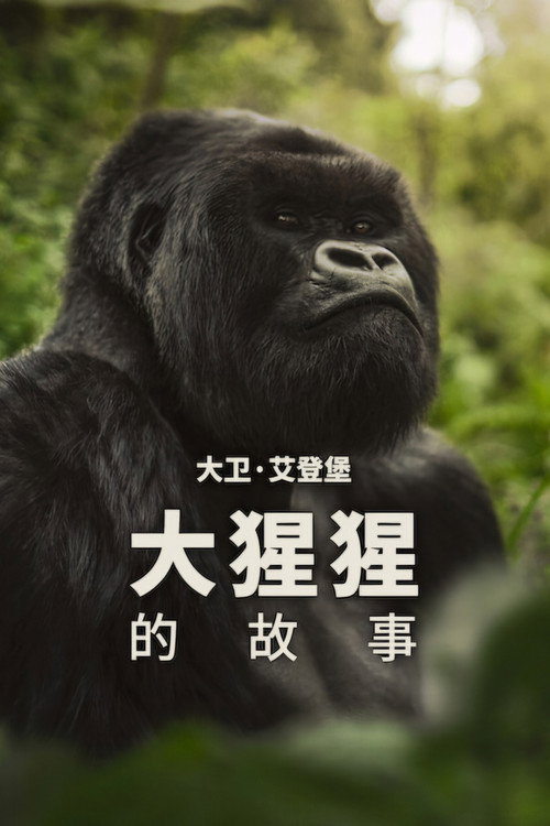 大卫&middot;艾登堡：大猩猩的故事电影海报