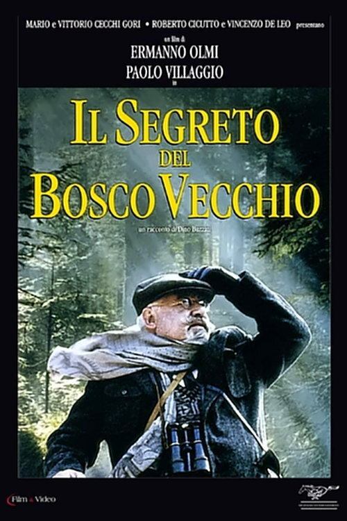 Il+segreto+del+bosco+vecchio