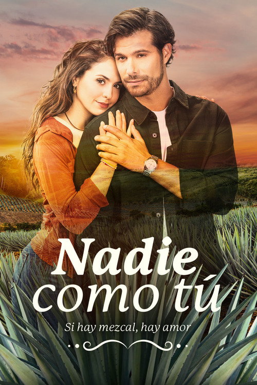 Nadie Como T&uacute;电影海报