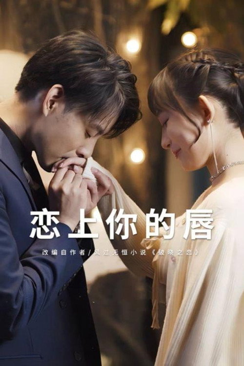 恋上你的唇海报