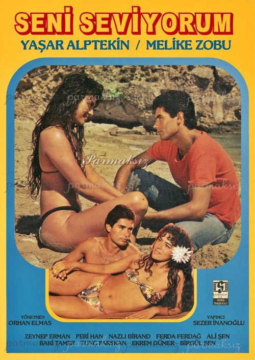 Seni Seviyorum poster 4
