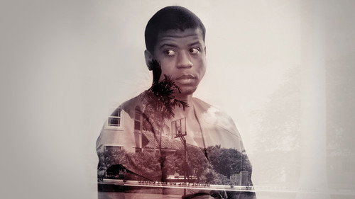 Backdrop