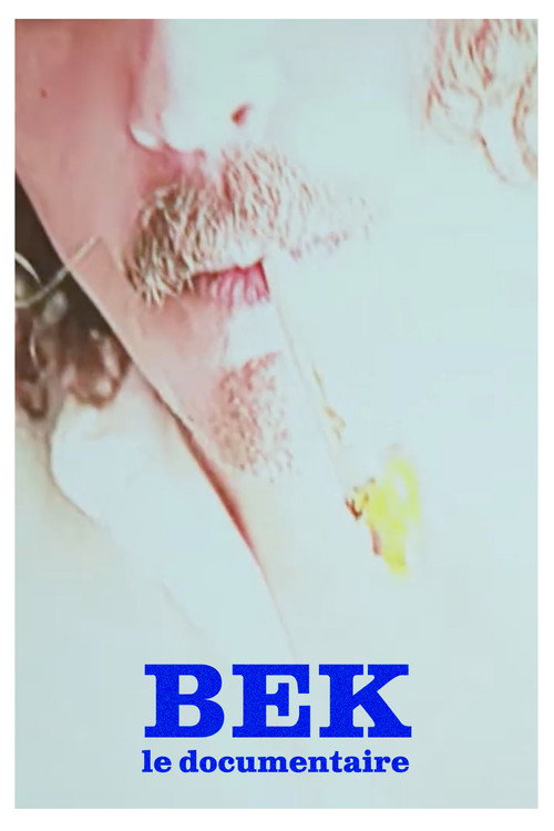 BEK - Le documentaire电影海报