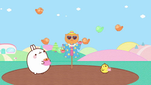 The Vegetable Garden