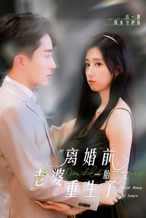 一胎二宝：离婚前老婆重生了电影海报