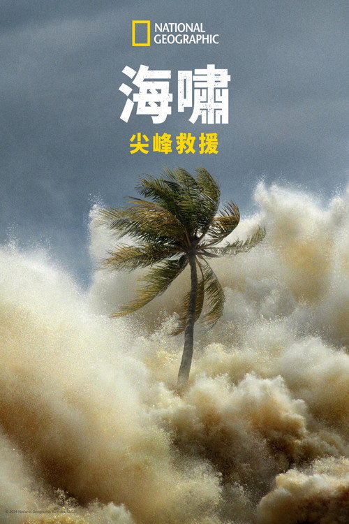 海啸：与时间赛跑电影海报