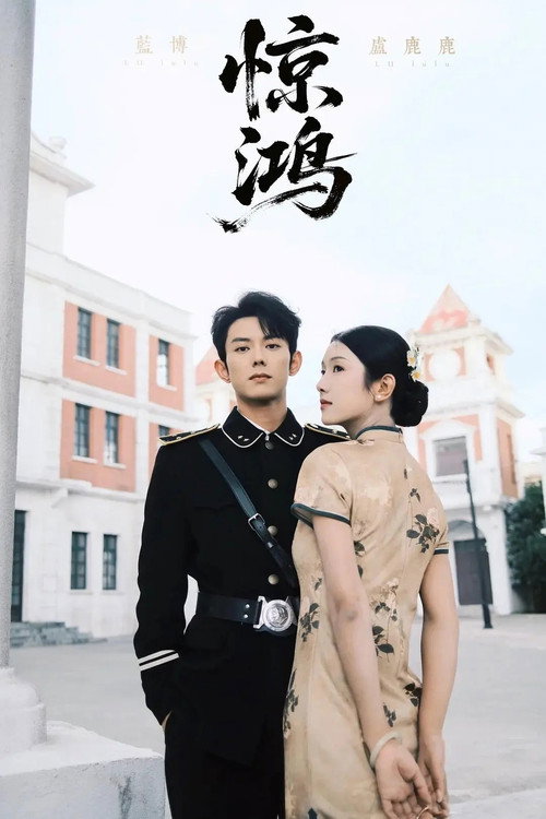 少帅霸妻，强扭的瓜不甜也得甜 poster 2