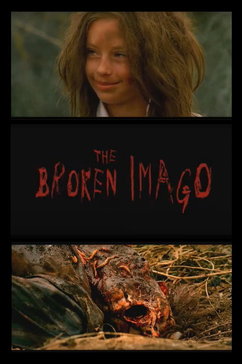 The Broken Imago poster 2
