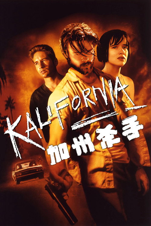 加州杀手电影海报