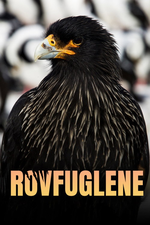 Legenden der L&uuml;fte电影海报