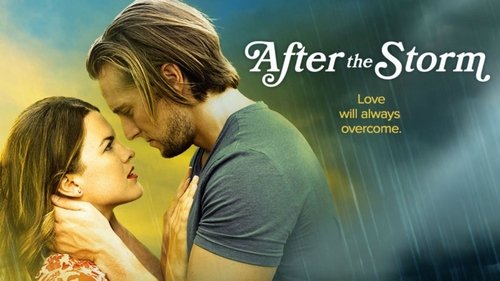 After the Storm (2019)Bekijk volledige filmstreaming online