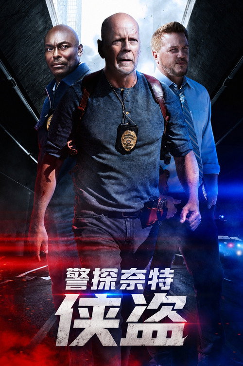 警探奈特：侠盗电影海报