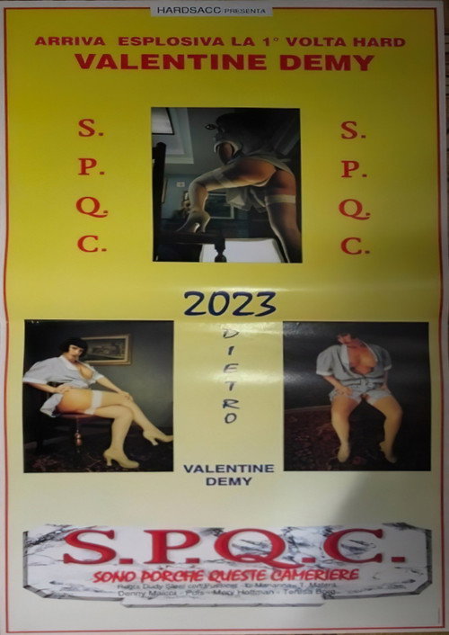S.P.Q.C. Sono Porche Queste Cameriere poster 1