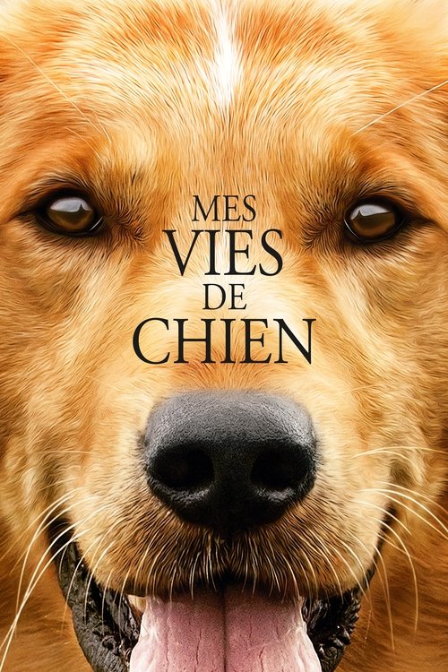 Mes vies de chien (2017) Film complet HD Anglais Sous-titre