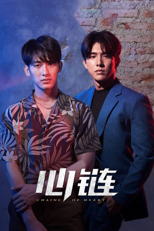 心链电影海报