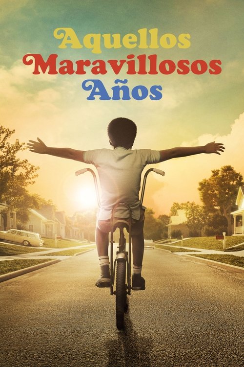 Poster of Los años maravillosos