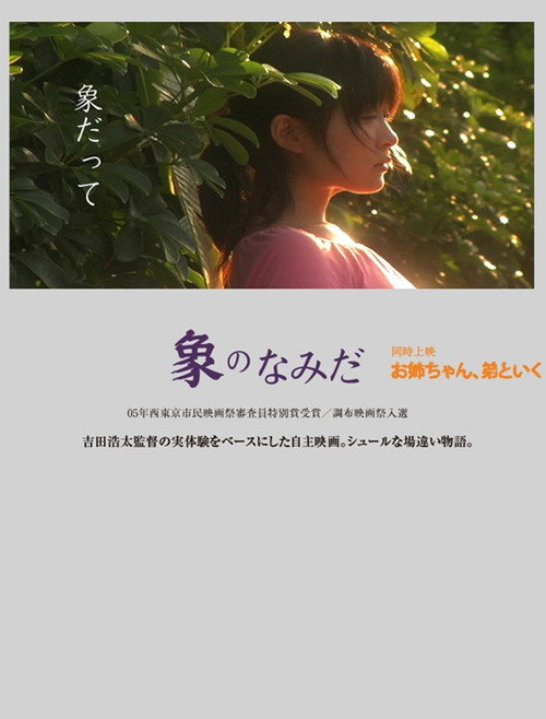 Tears of Elephant's poster