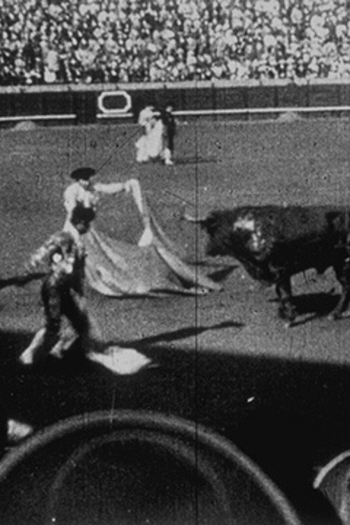 Espagne: Courses de taureaux 1897