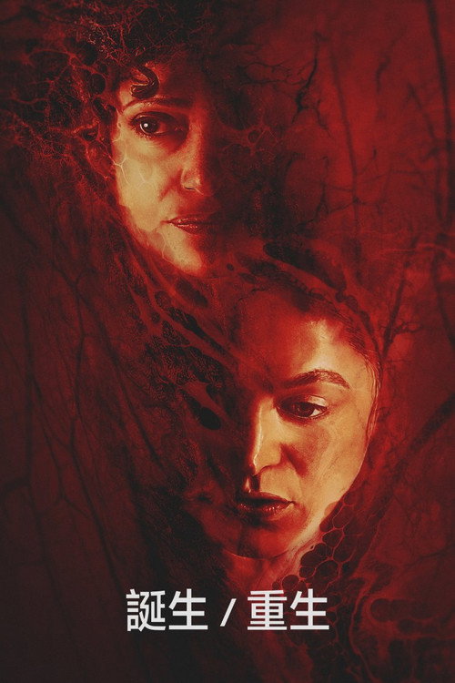 新生，重生电影海报